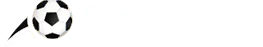 满冠体育hangtian